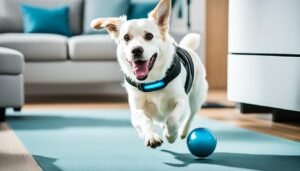 sistemas de domótica ayudar con el ejercicio de los perros