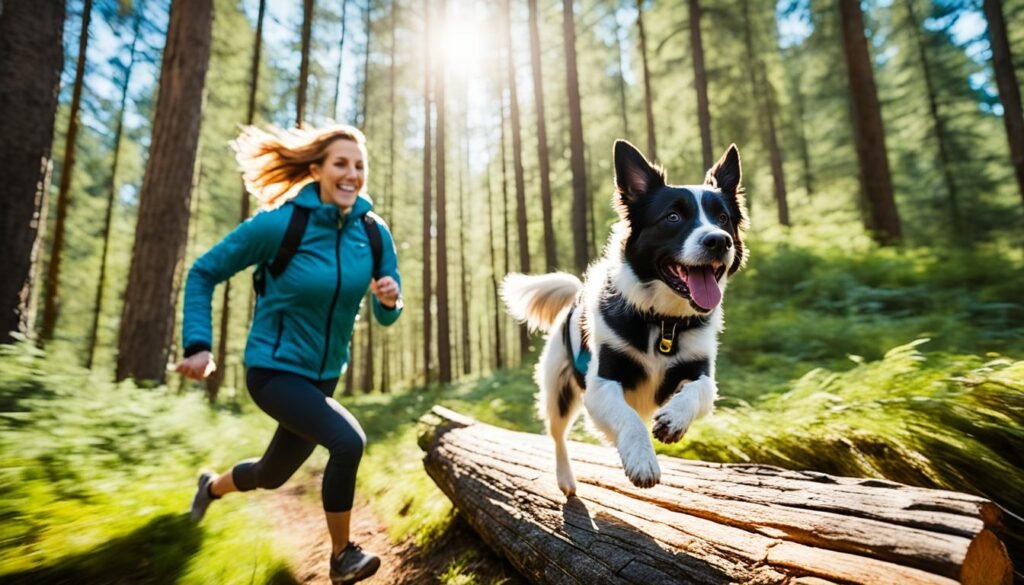 deportes de alto impacto con perros