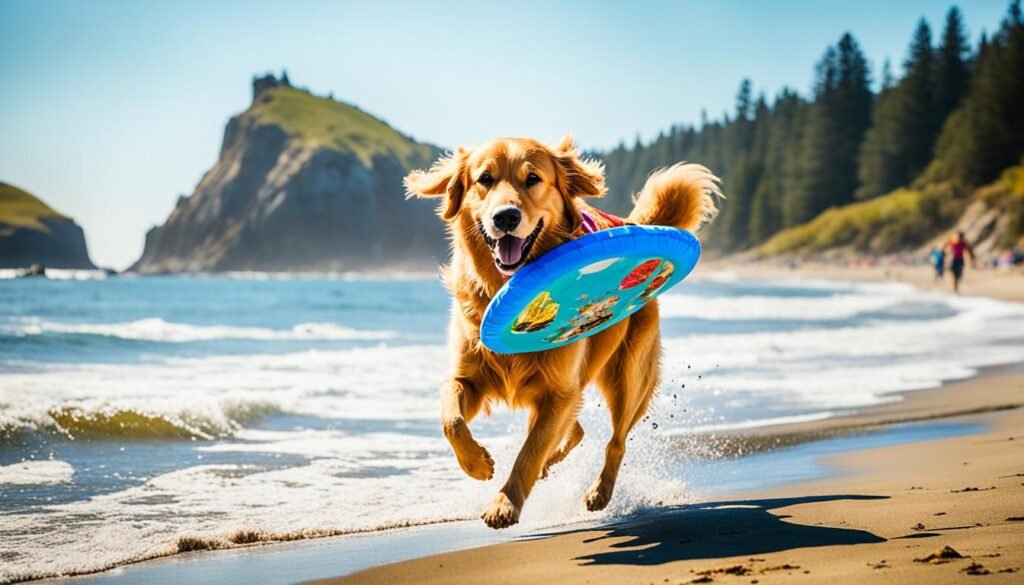 vacaciones en la playa con perro