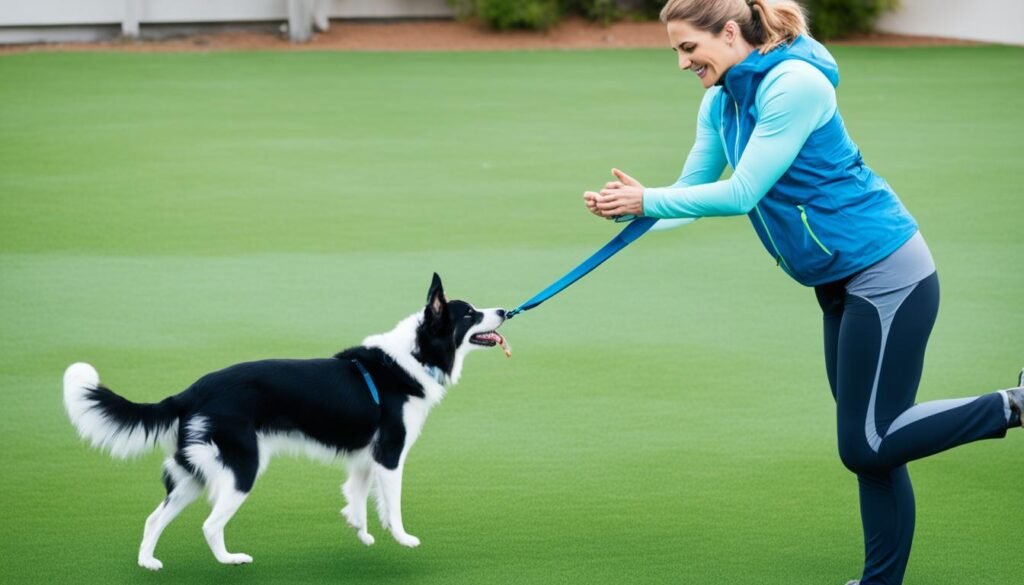 calentamiento y enfriamiento en el ejercicio canino